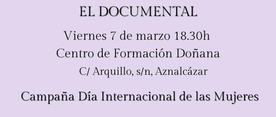 Cartel Videoforum Las caminantas