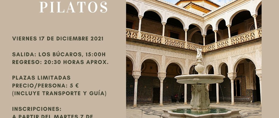 Visita Guiada a la Casa Pilatos 2021