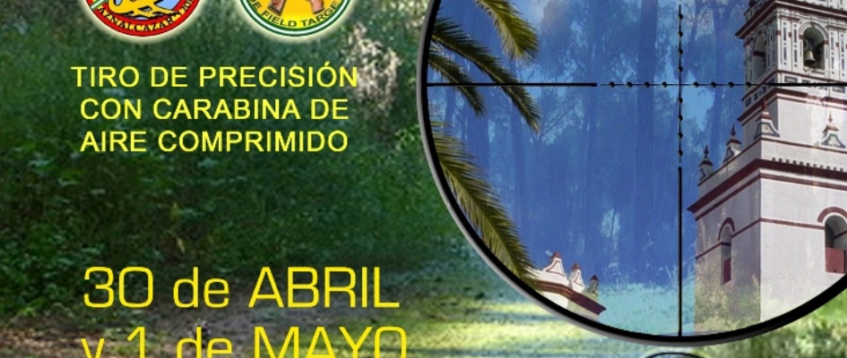 8_Cartel_Tiro_Presicion_copia.jpg