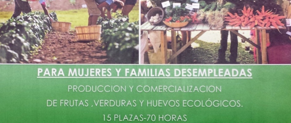 Cartel_Curso_Agricultura_ecolxgica.jpg