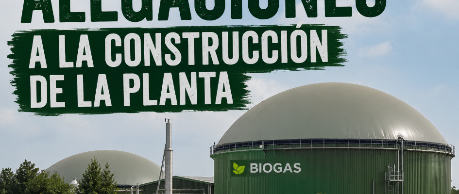Alegaciones