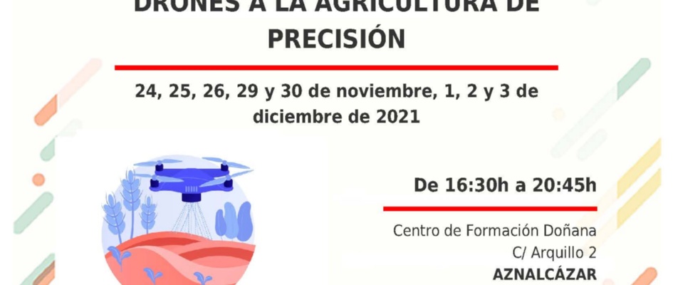 Cartel Aznalcázar Curso Dron Prodetur