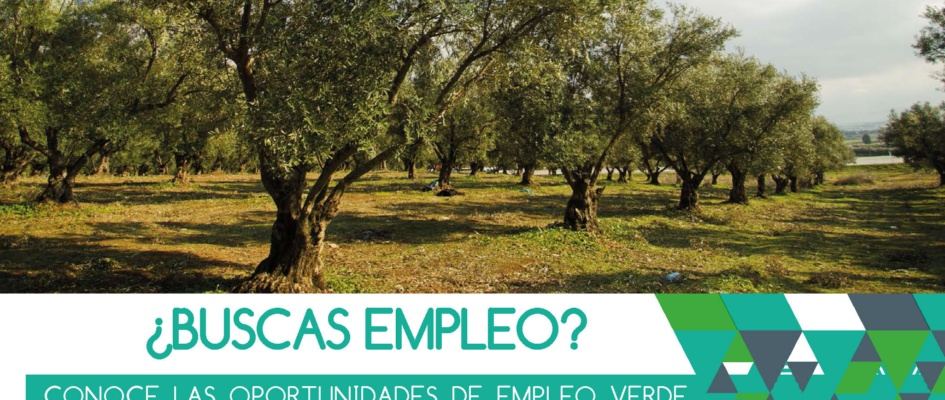 Cartel Ecolabora Sevilla