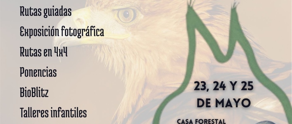 Copia de IIº FESTIVAL DE AVES Y PATRIMONIO