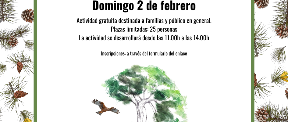 RUTA ETNOGRÁFICA COMPARTIENDODOÑANA