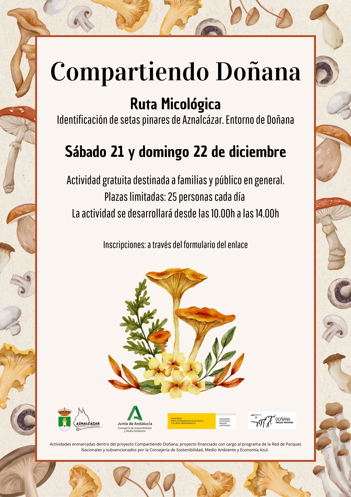 Ruta micologica Doñana