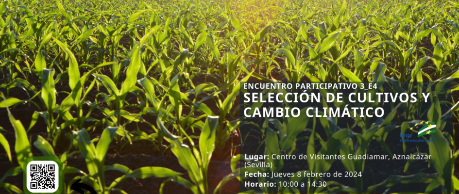 SELECCIÓN CULTIVOS Y CC