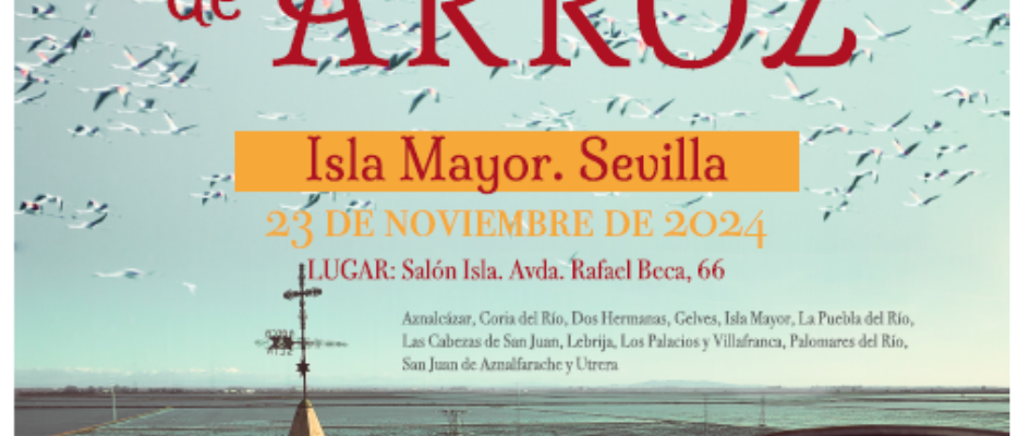 cartel XXII concurso recetas arroz 2024