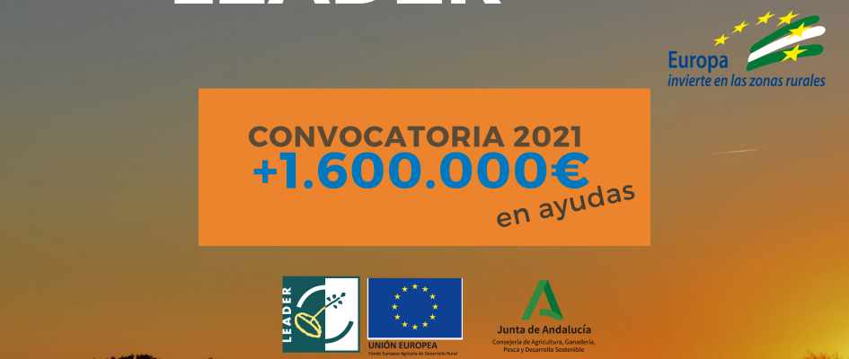 convo LEADER 2020_poster horizontal