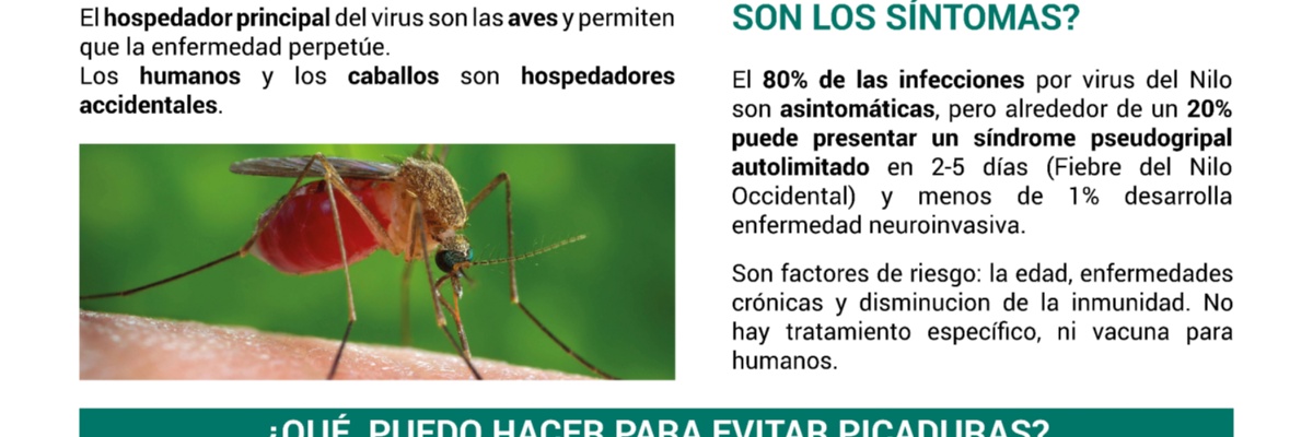Campaña preventiva de la picadura del mosquito vector del virus del Nilo